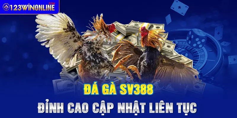 Đá gà SV388