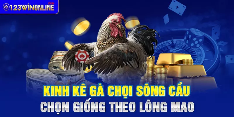 Kinh kê gà chọi sông cầu