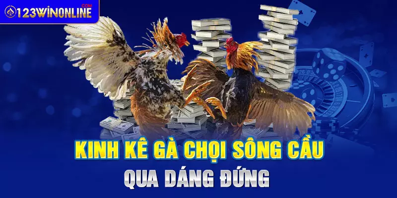 Kinh kê gà chọi sông cầu