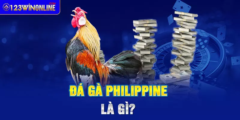 đá gà philippine