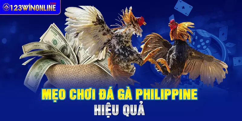 đá gà philippine